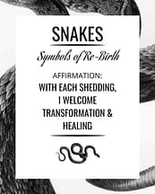 snake-symbolism-affirmatioN