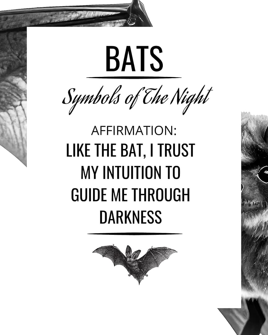 bat-symbolism-affirmation bat-symbolism-affirmation