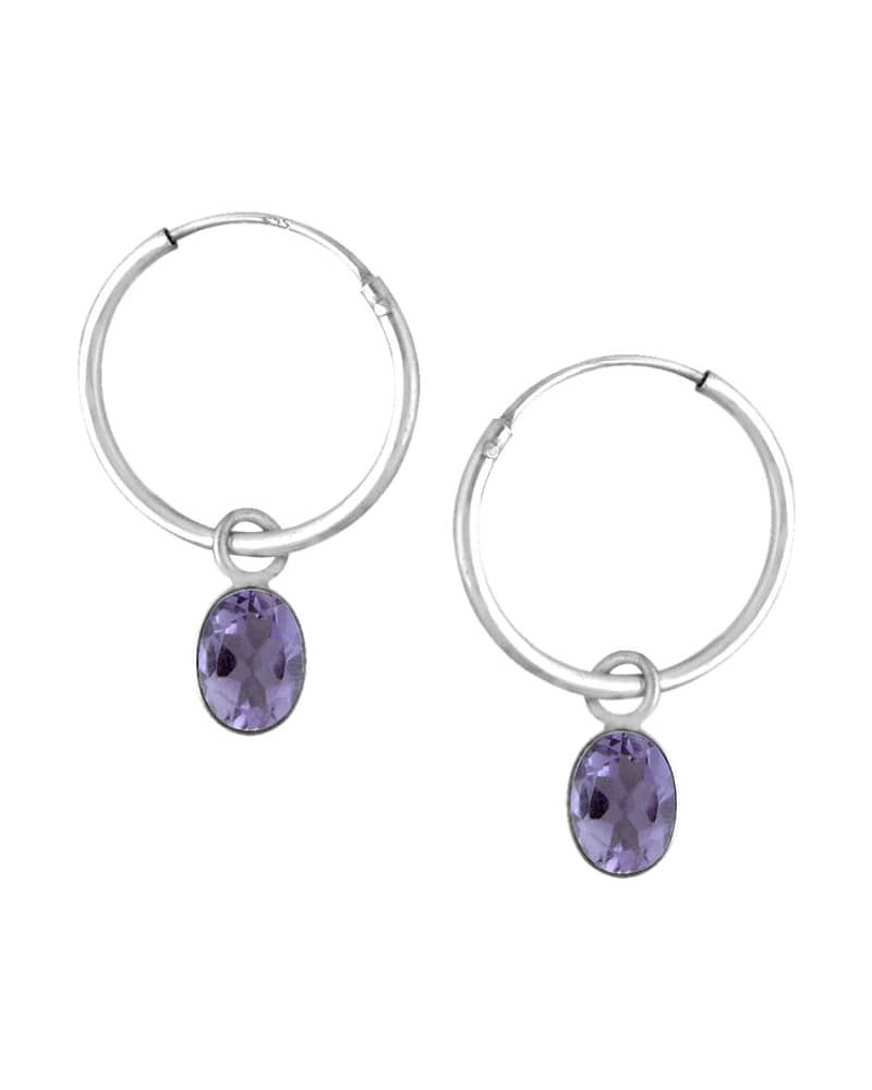 Brione February Birthstone Earrings Amethyst