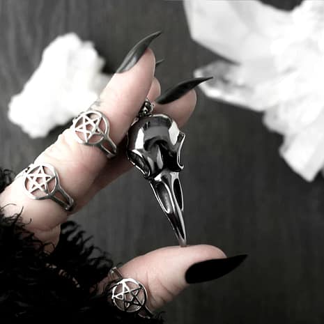 bird-skull-stainless-steel-necklace-pentagram-silver-rings-hellaholics