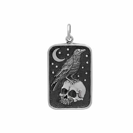 ravens-skull-sterling-silver-necklace-hellaholics-1