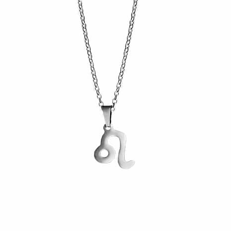 leo-stainless-steel-necklace-hellaholics