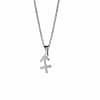 saigittarius-stainless-steel-necklace-hellaholics