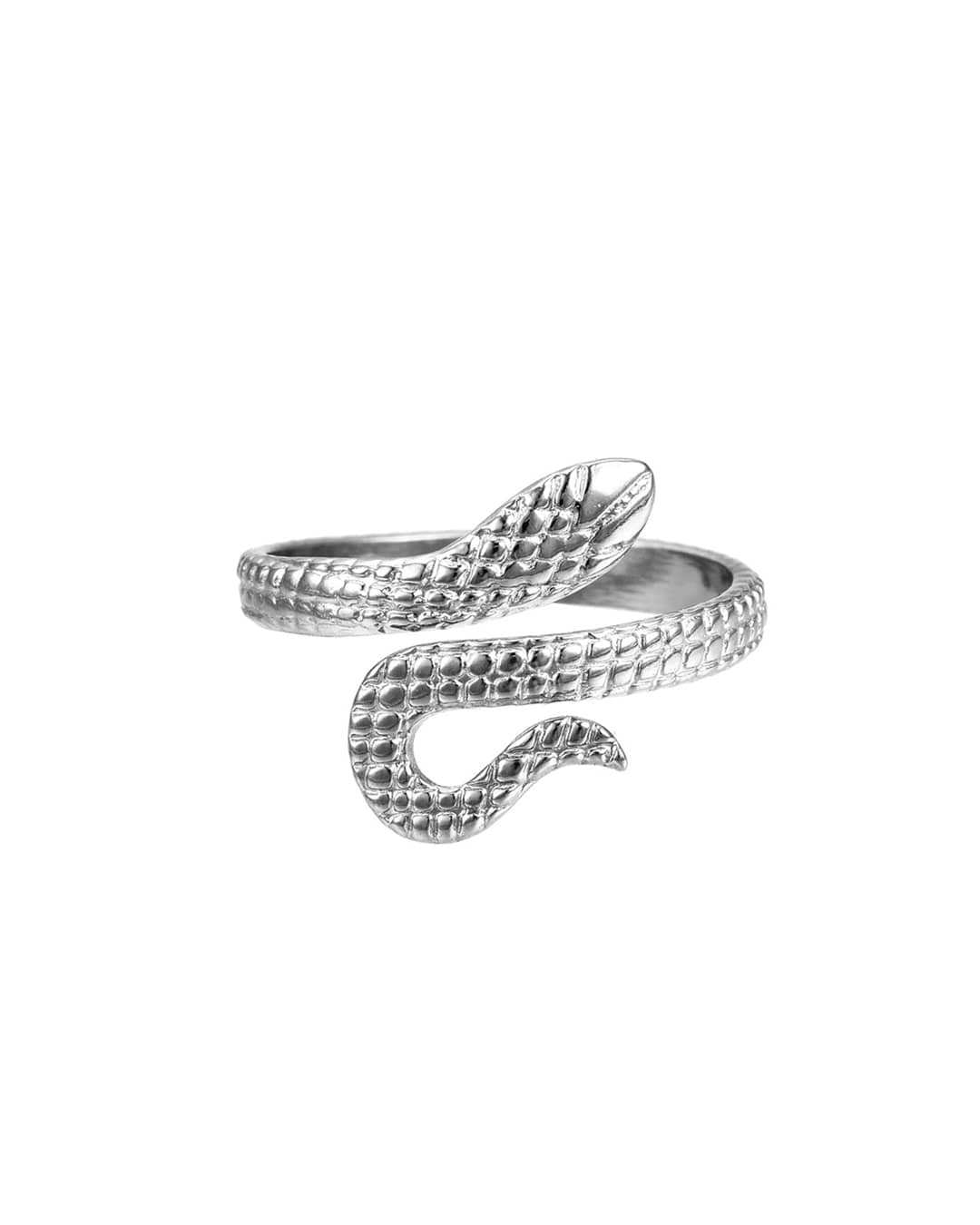 Slithering Silver
