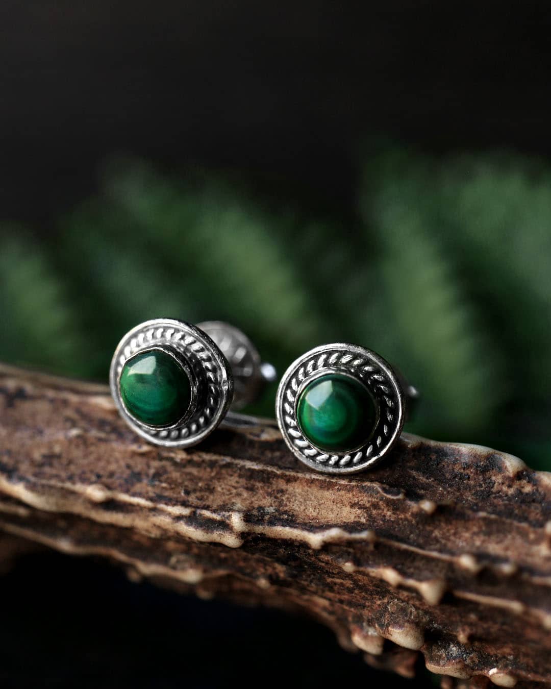 round sterling silver malachite earrings on brown branch with green background