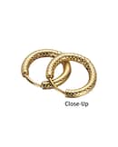 medusas-stainless-steel-gold-snake-scale-hoops-earrings-side