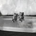 Owl Silver Stud Earrings