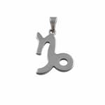 Stainless Steel Capricorn Symbol Necklace