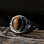 Aelia Tiger Eye Silver Ring