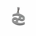 Stainless Steel Cancer Symbol Necklace