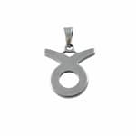 Stainless Steel Taurus Symbol Necklace