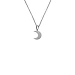 Crescent Moon Stainless Steel Necklace Small
