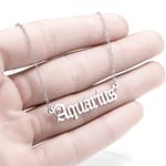Stainless Steel Aquarius Necklace