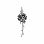 Eternal Rose Silver Necklace