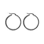 Liza Stainless Steel Hoop Earrings