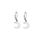 Crescent Moon Stainless Steel Leverback Earrings