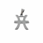 Stainless Steel Pisces Symbol Necklace