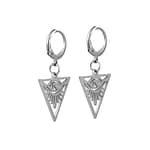 Occult All Seeing Eye Stainless Steel Leverback Earrings