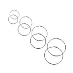 Bundle: Rosetta Stainless Steel Hoop Earrings Set