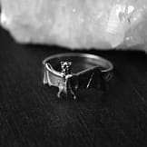 bat-silver-ring-mood-2-hellaholics