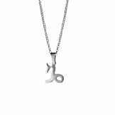 capricorn-stainless-steel-necklace-hellaholics
