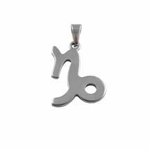 zodiac-capricorn-stainless-steel-close-up