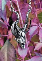 silver-crescent-skull-pendant-restyle-hellaholics-nature