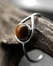 huntress-tiger-eye-close-up-hellaholics