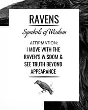 raven-symbolism-affirmation