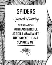 spider-symbolism-affirmation