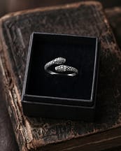 two-headed-snake-ring-giftbox-hellaholics-look-2