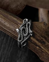 duo-snake-sterling-silver-ring-mood-branch-close-up-hellaholics