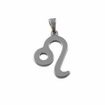 zodiac-leo-stainless-steel-close-up