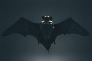 bat symbolism image for bat jewellery with a black bat with spread wings on dark background