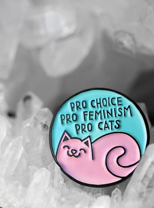 pro-choice-pro-feminist-pro-cats-pin-by-punky