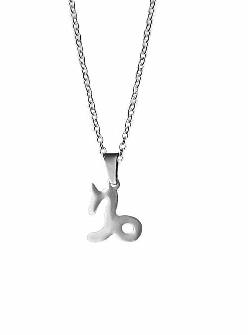 capricorn-stainless-steel-necklace-hellaholics
