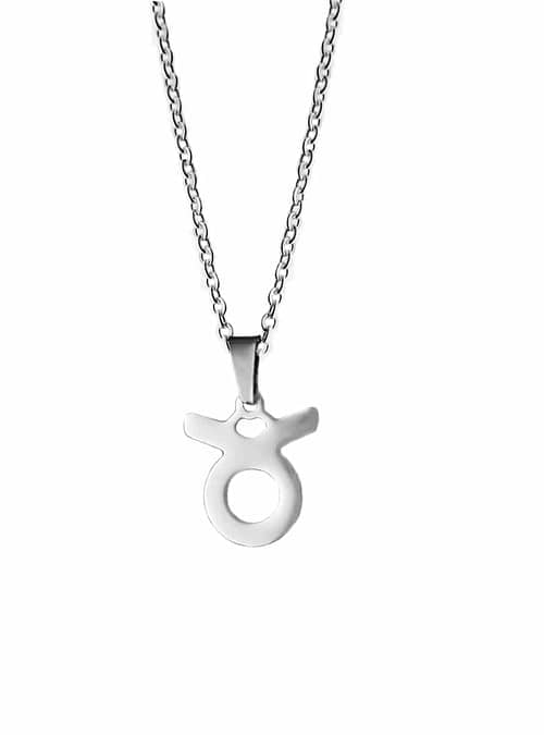 taurus-stainless-steel-necklace-hellaholics