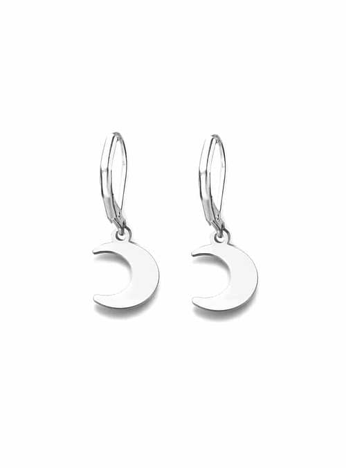 crescent-moon-stainless-steel-leverback-earrings-hellaholics
