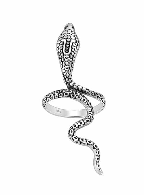 mother-of-serpents-silver-ring (1)