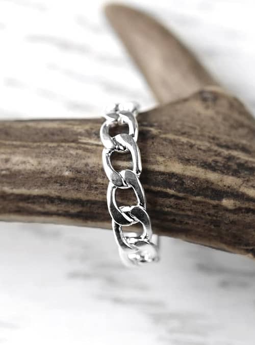 never-break-the-chain-silver-ring-close-up-hellaholics