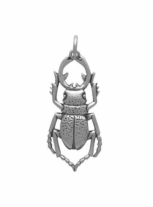 stag-bettle-sterling-silver-necklace-hellaholics
