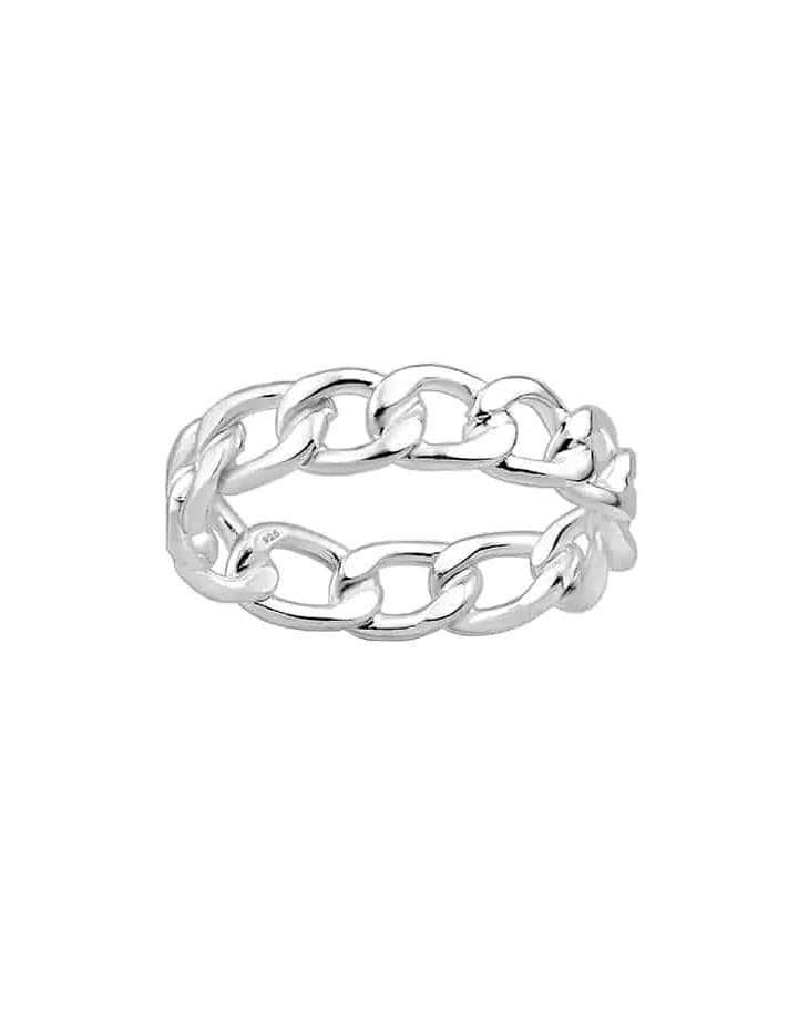 never-break-the-chain-silver-ring-product-photo-hellaholics