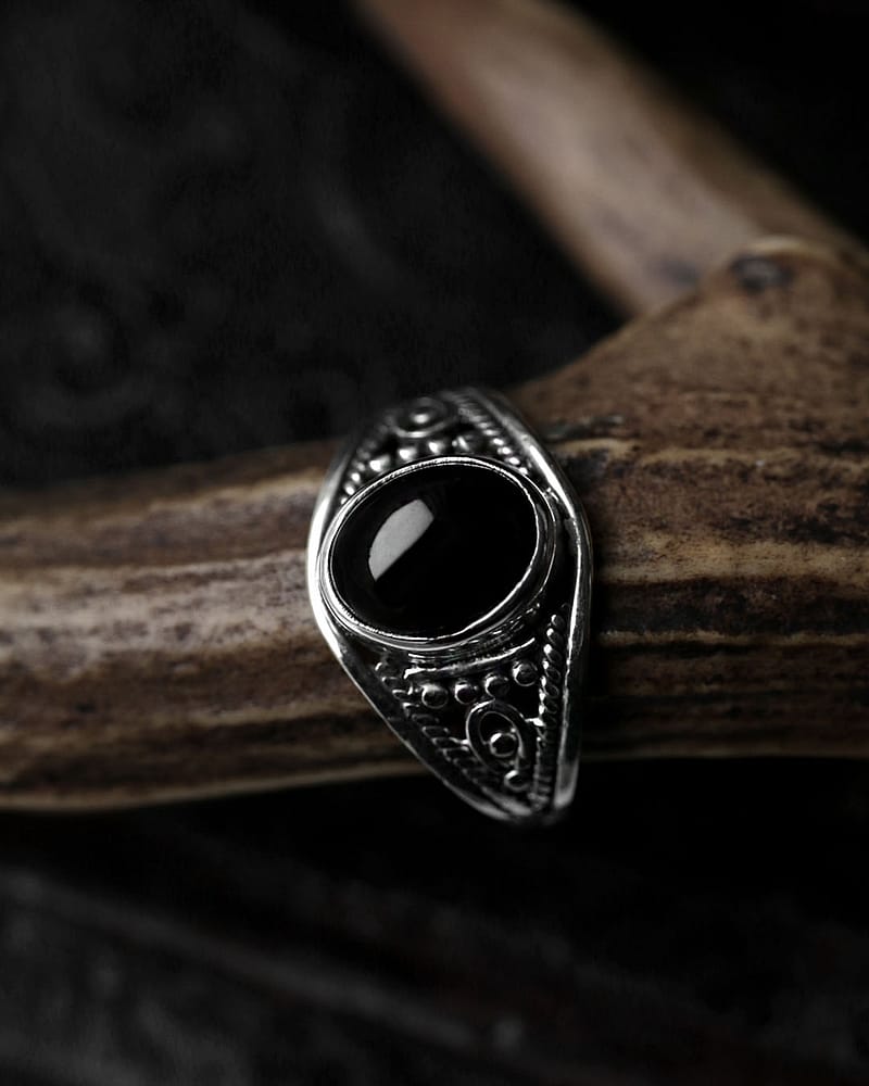 aelia-onyx-silver-ring-close-up-on-branch-hellaholics