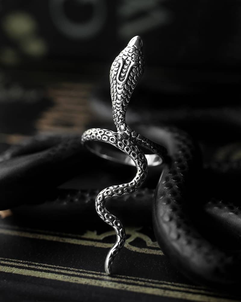 Mother of serpent sterling silver snake ring, a large snake ring with intricate details on black background