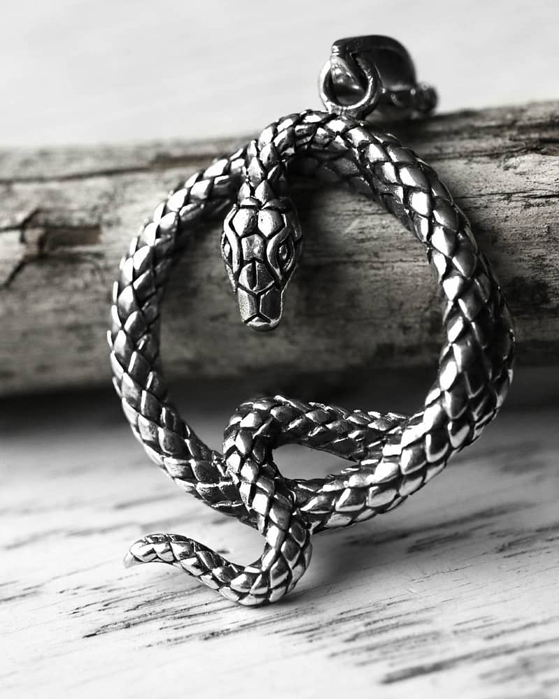 The Queens Serpent Silver Snake Necklace, Close up image on brown branch -- light background