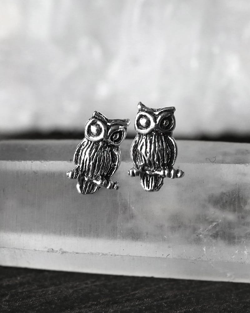 Owl Silver Stud Earrings