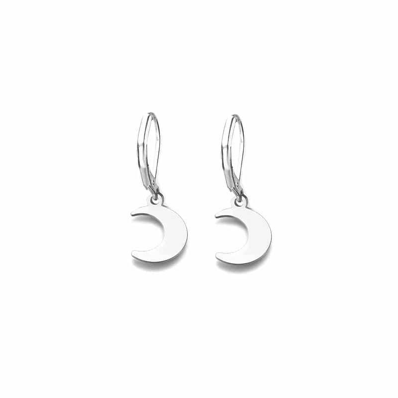crescent-moon-stainless-steel-leverback-earrings-hellaholics