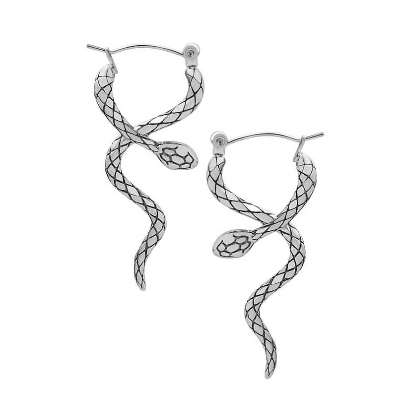 stainless steel snake earrings on white background