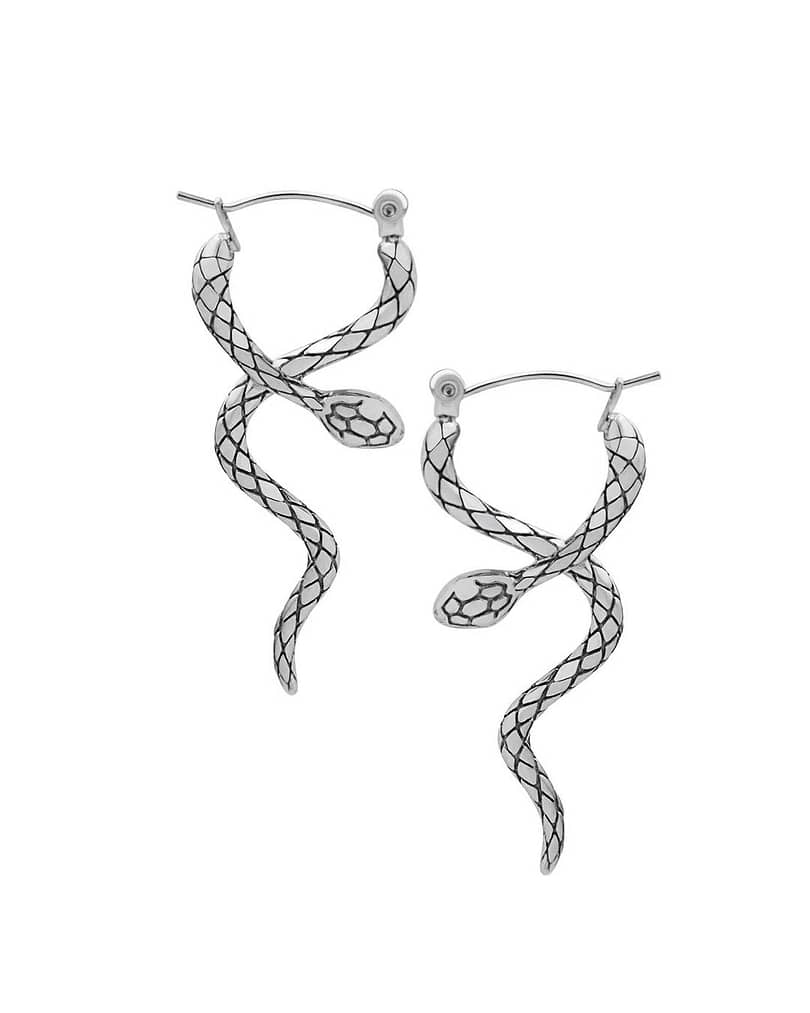 stainless steel snake earrings on white background