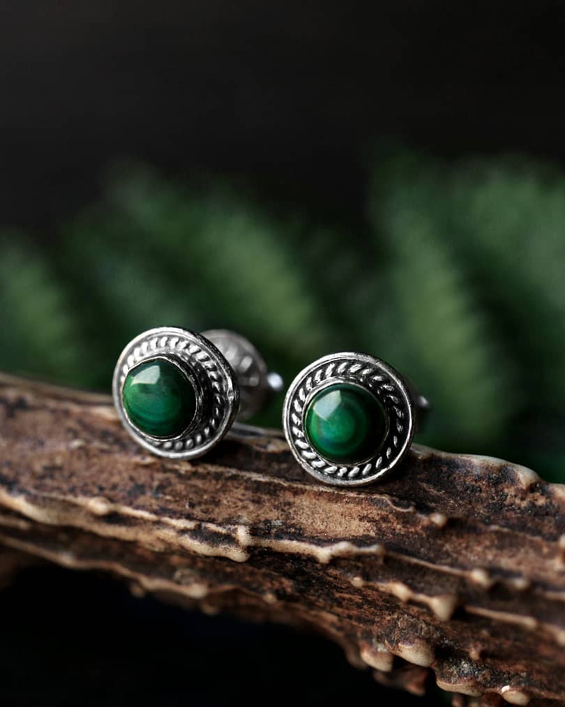 round sterling silver malachite earrings on brown branch with green background